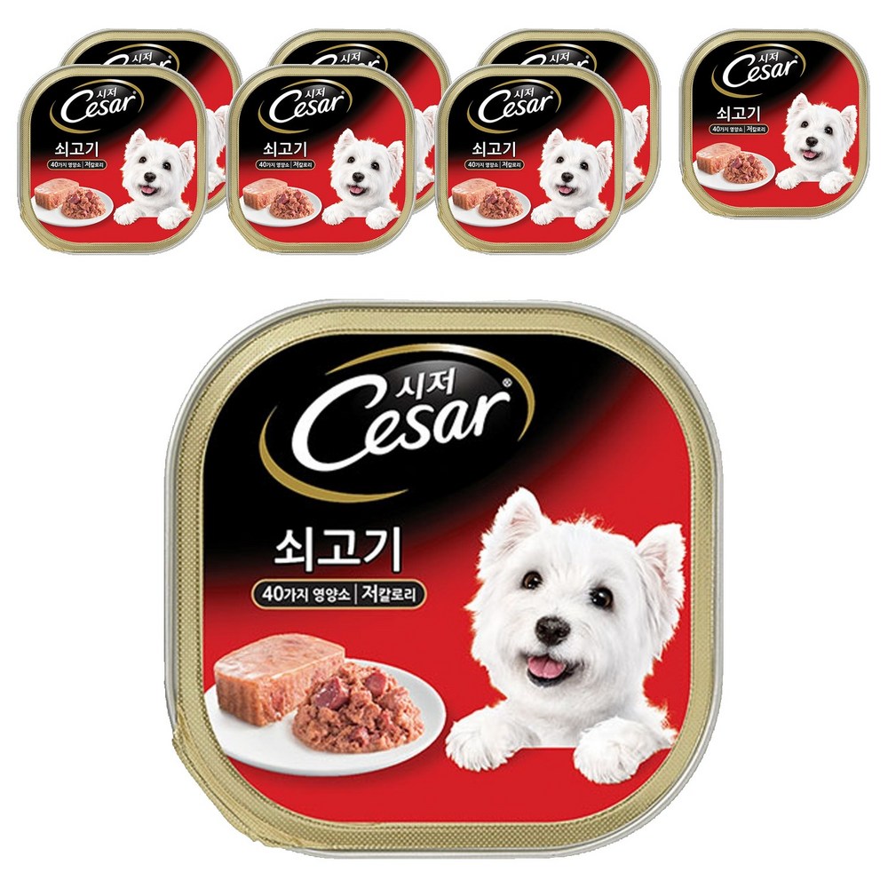 시저 1세 이상 어덜트 강아지 주식캔