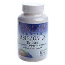 플래너터리허벌스 아스트라갤러스 추출물 500mg 타블렛, 120개입, 1개