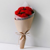 블루밍앤미 비누꽃 카네이션 7p 네츄럴 꽃다발, 레드
