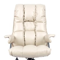 의자명가 뉴타이탄2 일반좌판 중역의자, 카푸치노