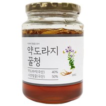 이고장식품 약도라지꿀청 도라지차 국내산, 500g, 1개