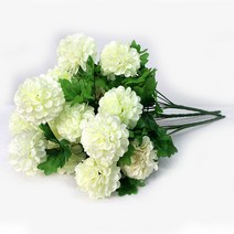 다양한 흰국화꽃 인기 순위 TOP100을 확인하세요