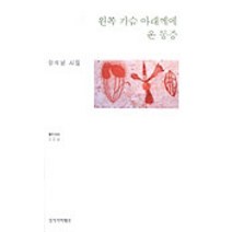 왼쪽 가슴 아래께에 온 통증, 창작과비평사, 장석남 저