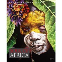 Soul of Africa:낯선 곳에서의 자유 힐링여행 아프리카, 상상출판, 함길수 저