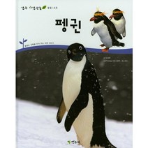 펭귄, 연두비