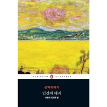 인간의 대지:바람과 모래와 별, 펭귄클래식코리아, 앙투안 드 생텍쥐페리 저/허희정 역