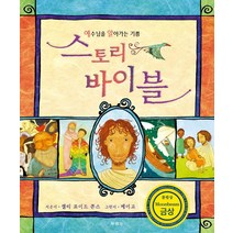 [두란노서원]스토리 바이블 : 예수님을 알아가는 기쁨 (개정판), 두란노서원