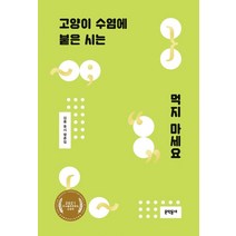 고양이 수염에 붙은 시는 먹지 마세요:김륭 동시 평론집, 문학동네, 김륭
