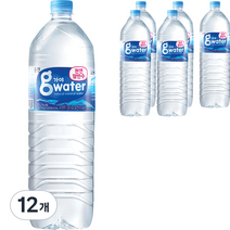 가야G워터 생수, 12개, 2L
