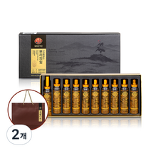 천지인 뿌리의 힘 산삼배양근 + 쇼핑백, 20ml, 2개