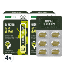 건국유업 혈행개선 징코 솔루션 15g, 4개
