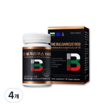 에이토솔루션 더불가리쿠스1908 프로바이오틱스 22.2g, 60정, 4개