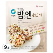 청정원 맛있는밥&엔 쇠고기, 24g, 9개
