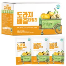 물넣지않은 도라지배즙 데일리, 2400ml, 1개