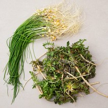 국내산 냉이와 달래, 230g, 1팩