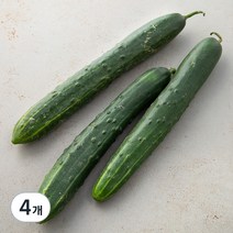 취청오이, 3개입, 4개