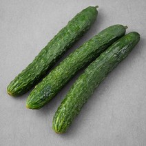 GAP 창녕 가시오이 3입, 1개