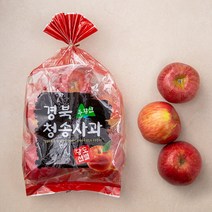 다조은 청송 주왕산 당도선별 사과, 1.5kg(4~8입), 1개