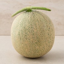 곰곰 머스크 멜론, 1.5kg, 1개