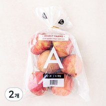 셀렉트팜 A사과 중과, 1.5kg(6입), 2개