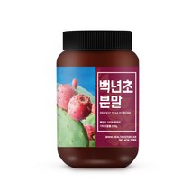 건강스토리 국내산 백년초 분말, 1개, 200g