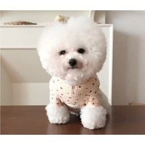 바이담수미 강아지 체리 와플 티셔츠, 아이보리