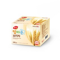 동서 엄마순 보리차, 8g, 30개입, 1개