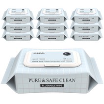 쿤달 퓨어 앤 세이프 클린 비데 물티슈 캡형, 60매, 10팩