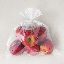 곰곰 고지대(해발 200m 이상)재배 GAP 저탄소 당도선별 사과, 1.5kg, 1개