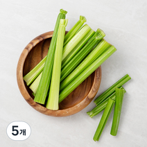 곰곰 셀러리 스틱, 400g, 5개