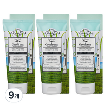 그레이스데이 리얼 프레쉬 알로에 녹차 폼클렌징, 100ml, 9개