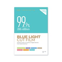 카라스 블루라이트컷 LG 13ZD980 시리즈용 액정보호필름, 13.3in, 1개