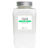 바른건강 자일리톨 분말, 400g, 1개