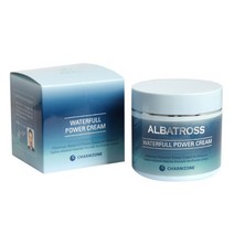 참존 알바트로스 워터풀 파워 크림, 100ml, 1개