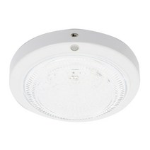 샛별하우스 아이리스 LED 베란다등 센서 15W, 화이트