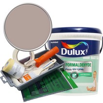 듀럭스 안티 포름알데히드 올인원 페인트 세트, Pressed Rose, 1L