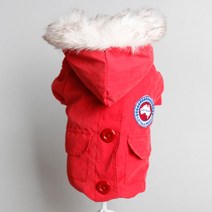 고운매 강아지 패딩점퍼, 레드
