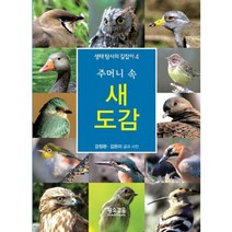 주머니 속 새도감, 황소걸음