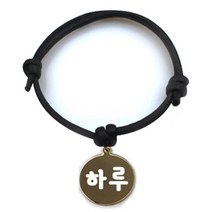 펫츠룩 굿모닝 블랙 반려동물 목걸이 S + 메탈원형 팬턴트 M, 골드(하루), 1개