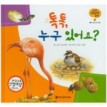 톡톡 누구 있어요-12(궁금한개념과학동화), 한국헤르만헤세