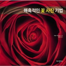 매혹적인 꽃 사진 기법, 비즈앤비즈
