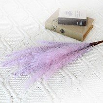 조아트 팜파스 조화 갈대 뮬리가지 5p, 퍼플