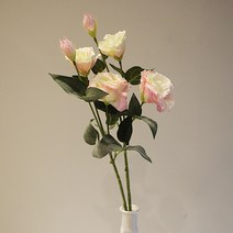 도시정원 조화 리얼리시안셔스 2p, 핑크
