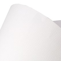 B&B 복사용지 S1백색 120g, 4절(39 x 54 cm), 20개