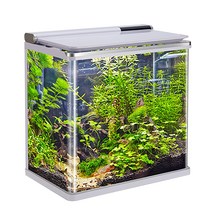 아마존 곡유리 아쿠아리움 수조 AMZ-640F, 화이트
