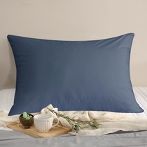 린튼 M2 기능성 알러지케어 베개 커버 + 마이크로 베개솜 세트, 다크블루