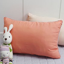 베드앤데코 베이직 일체형베개 2p, 오렌지