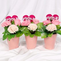 조화 카네이션 화분, 핑크, 3개