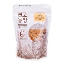 연고농장 국내산 볶은 현미차, 500g, 1개, 1개