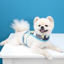 핑카홀릭 강아지 형광 밀리터리 산책 목 가슴 리드 하네스 J형, 아쿠아